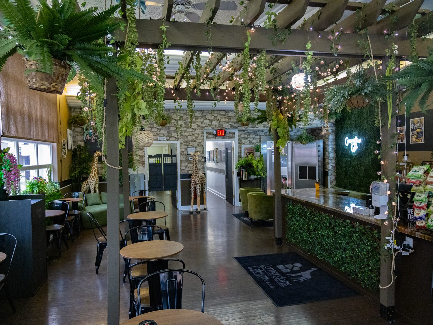 Inside Cornerstone Café — a warm, plant-filled room with a wooden pergola and cozy seating